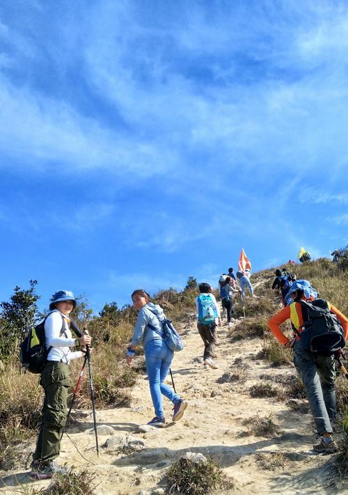 一步一个脚印，登上人生巅峰（一步一个脚印，登上人生巅峰）