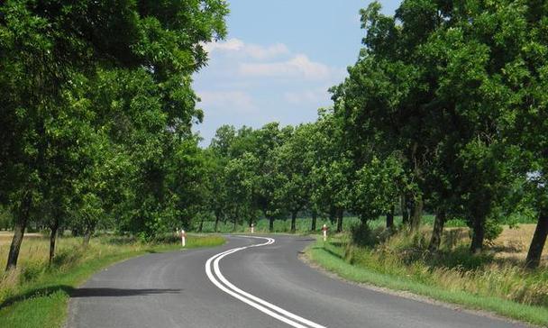 我的人生道路书（伴我左右的迷茫与坚定）