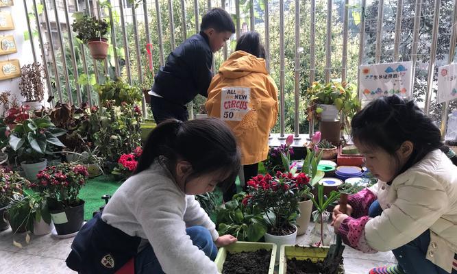 花草小鸟，我心中的宝贝（用爱呵护自然，美丽与和谐同在）