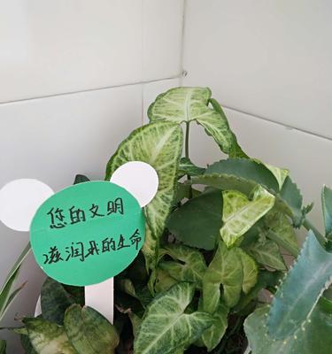 植物的守护者（一个绿色家园的故事）