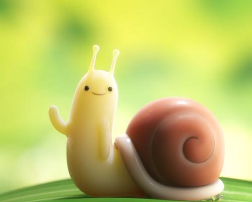 TheAdventureoftheLittleSnail