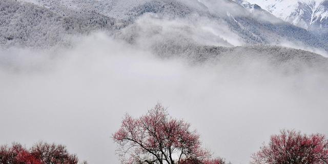 那些难以忘怀的经历（记录人生中的点滴）