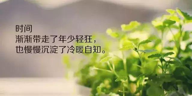 走过的岁月（时间流逝，生活依旧）