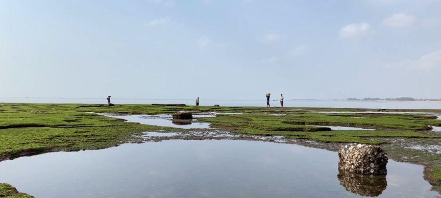 海边的趣事（夏日里的畅游）