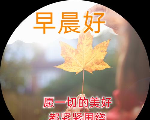 友谊的力量（一束温暖的阳光）