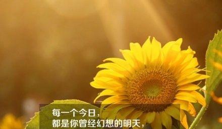 梦想与坚持（教育家的成长历程）