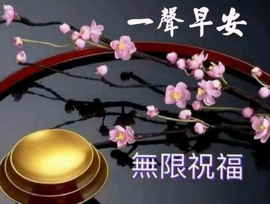 脚步狂奔的人生（每一步都是一种收获）