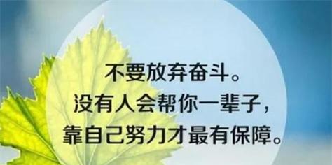 奋斗的力量（他们的坚持与成长）