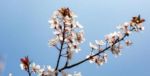 从落后到繁荣，一个小镇的历程（从落后到繁荣，一个小镇的历程）