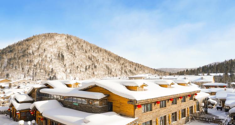 难忘的雪夜回家路上（冬日漫步、相遇奇遇）