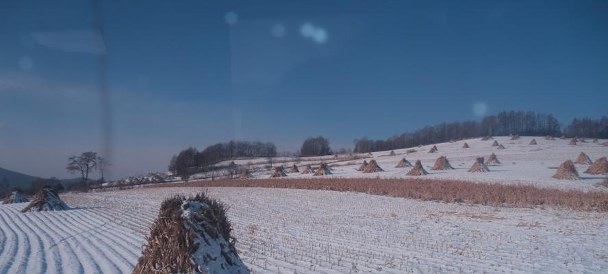 《冬日里的田野》（白雪皑皑，静谧祥和）