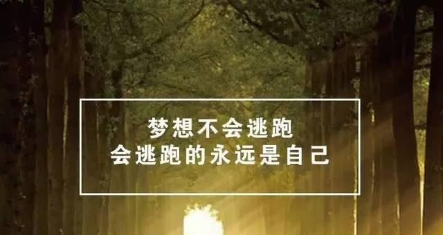 坚定信念追寻梦想（一个女孩的奋斗之路）