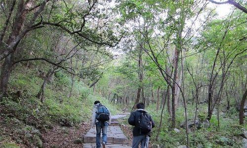 爬上山巅——一次挑战自我的旅程