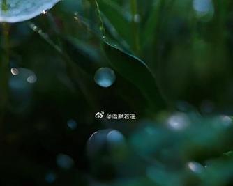 失落中的感悟（失落中的感悟）