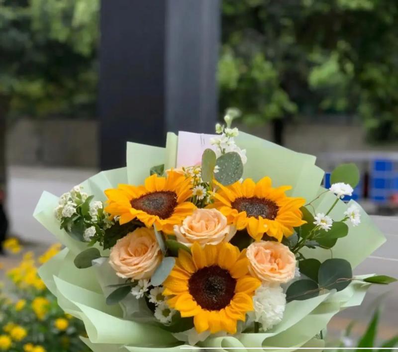 从困难到挑战，一个女孩的成长故事（从困难到挑战，一个女孩的成长故事）