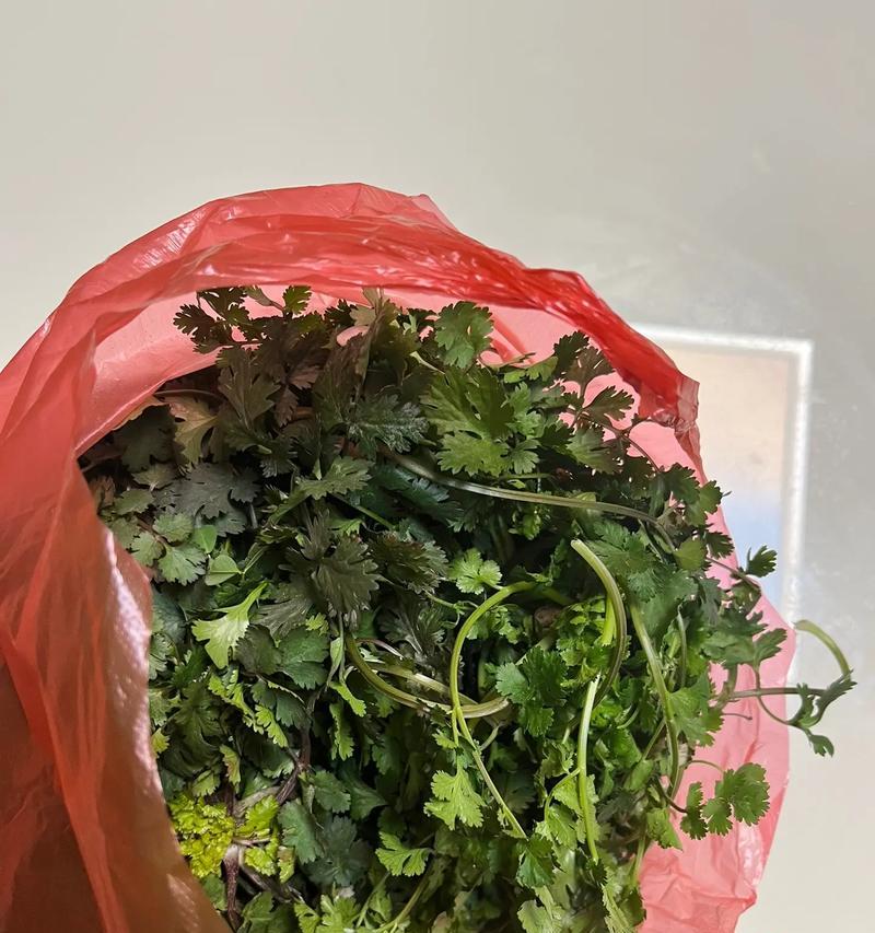 爱与牵挂（一段浓烈的人际情感故事）