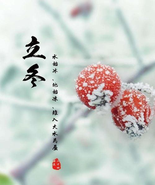 冬日暖心故事——守护你的每一个瞬间