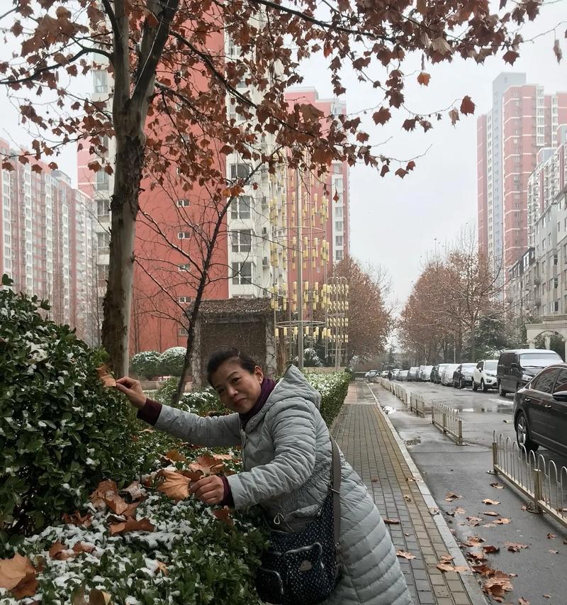 冬日的雪