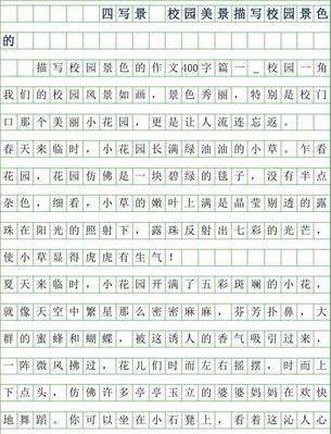 美景缤纷：一场偶遇的奇妙旅程