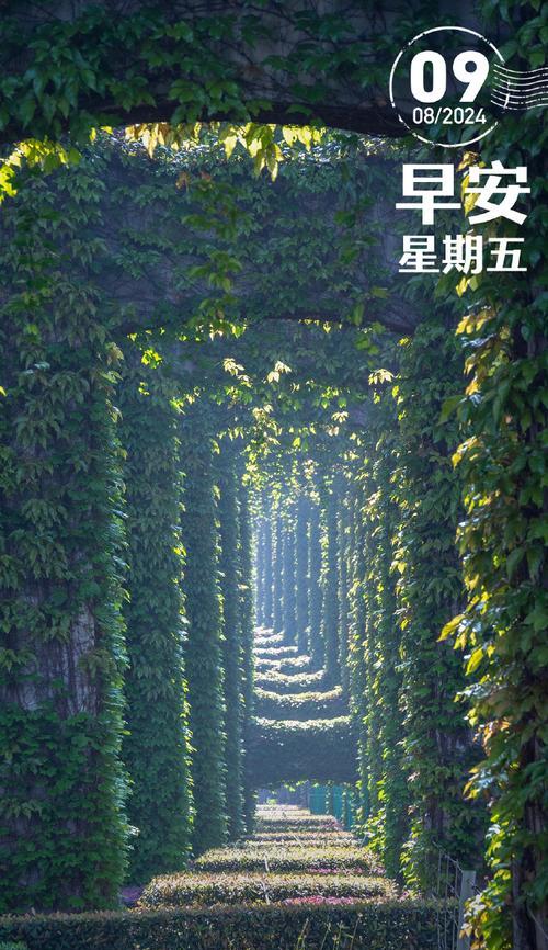 我和小伙伴的趣事(欢笑、成长、友情)