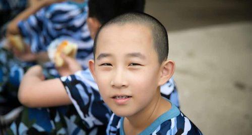 成长之路（小草的成长之路）