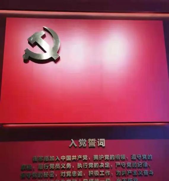 党代言人的力量（真正为民谋福利的党员们）