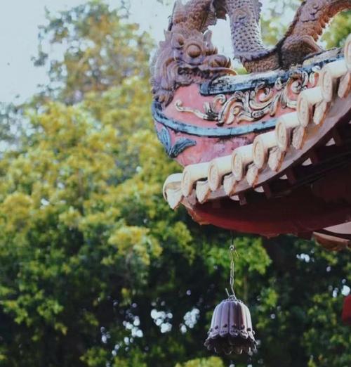 勇往直前，迎难而上（一位女孩的奋斗之路）