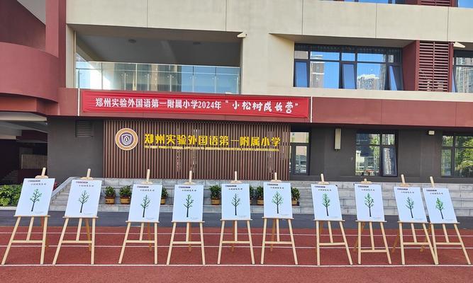 漫步松林，感受岁月荏苒（漫步松林，感受岁月荏苒）
