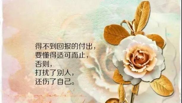 命运因环境而异（故事讲述一个少女从贫穷家庭到成功女性的成长历程）