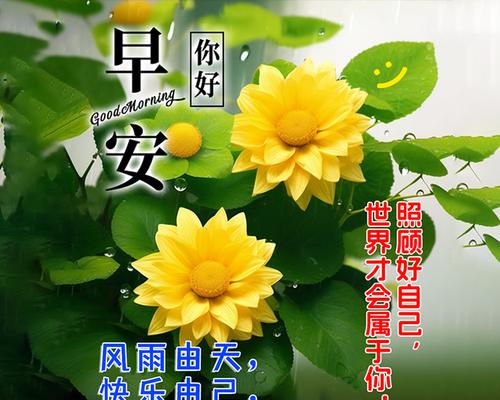 勇气的女孩（一个为自己而战的故事）