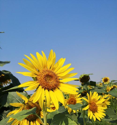 平凡日子中的甜蜜（相信爱情，珍惜每一份甜蜜）