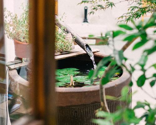 随风飘荡的人（放弃束缚、追逐自由）