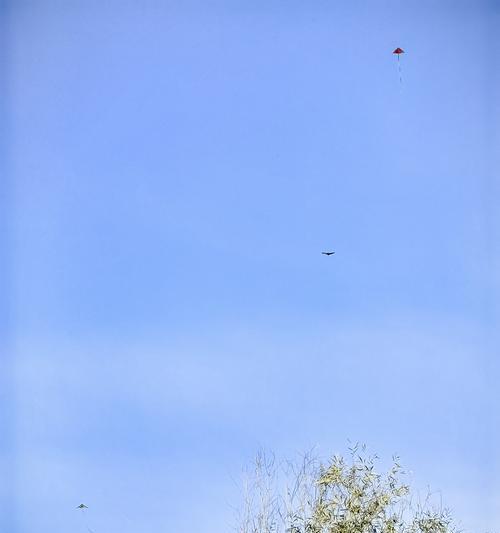 SpringKiteFlying:AStoryofJoyandFreedom