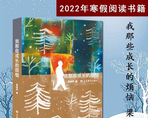 成长的窗（一个少年的成长故事）