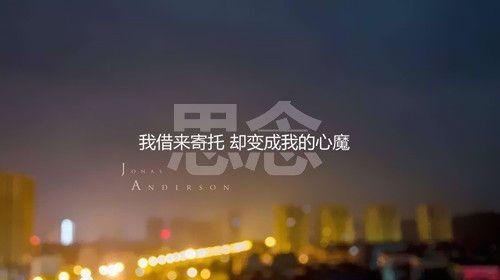 逆境中的玫瑰（悲情的寄托，勇气的源泉）