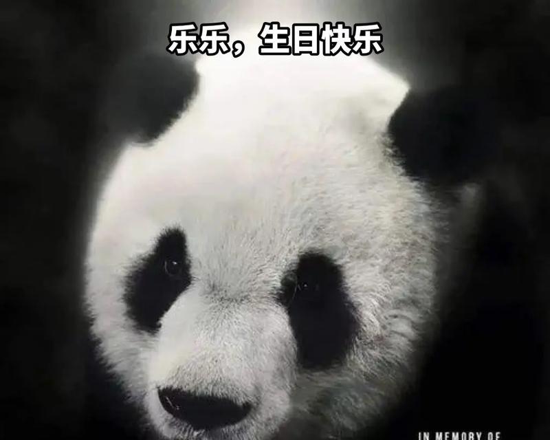 快乐之家：家的温馨