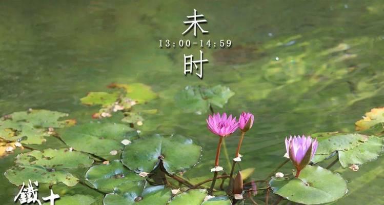 时光奔跑，岁月不怕（一个女孩的跑步经历）