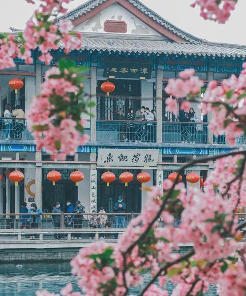 舒适的生活背后的代价（舒适的生活背后的代价）