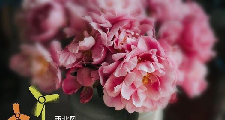 一个人的坚持和奋斗（一个人的坚持和奋斗）