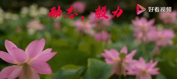 毅力使我成功（从失败到成功的奋斗史）