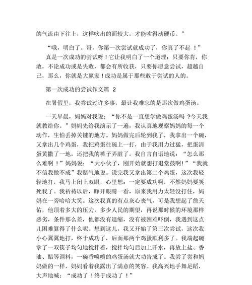 成功尝试之路