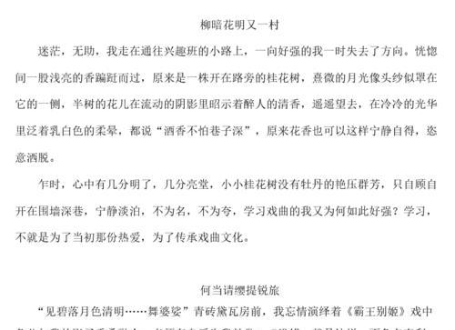 这里也有乐趣——初中生活的奇妙冒险