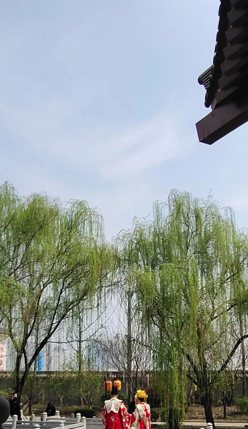 春风拂面，花香四溢（一个春天的故事）