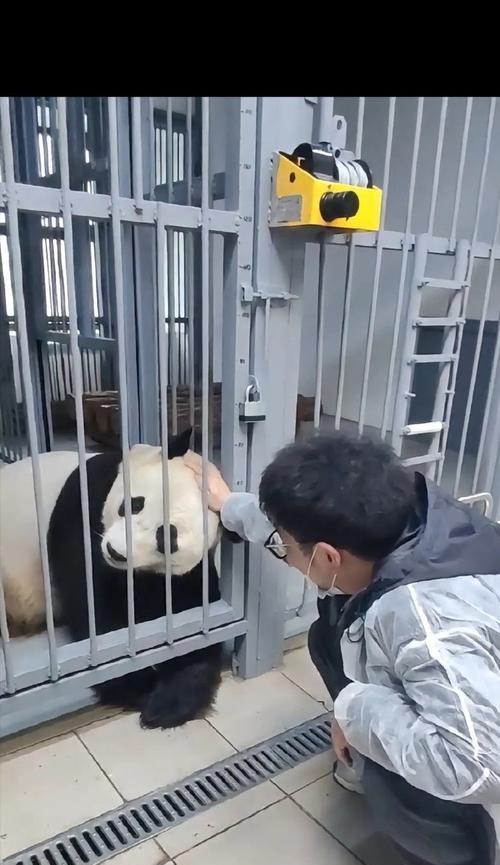 他的得意（一次突破）