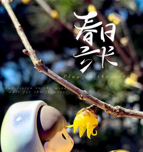 阳光照耀下的晶莹(美丽和温馨)