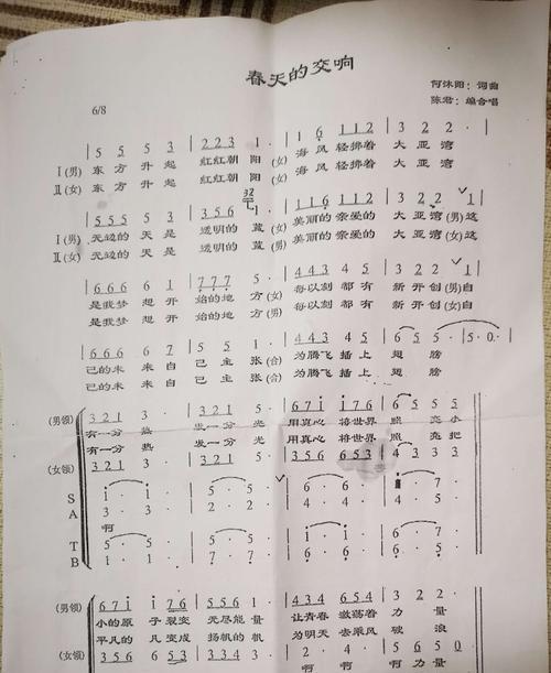 小花的春天(用歌声点亮生活的美好)