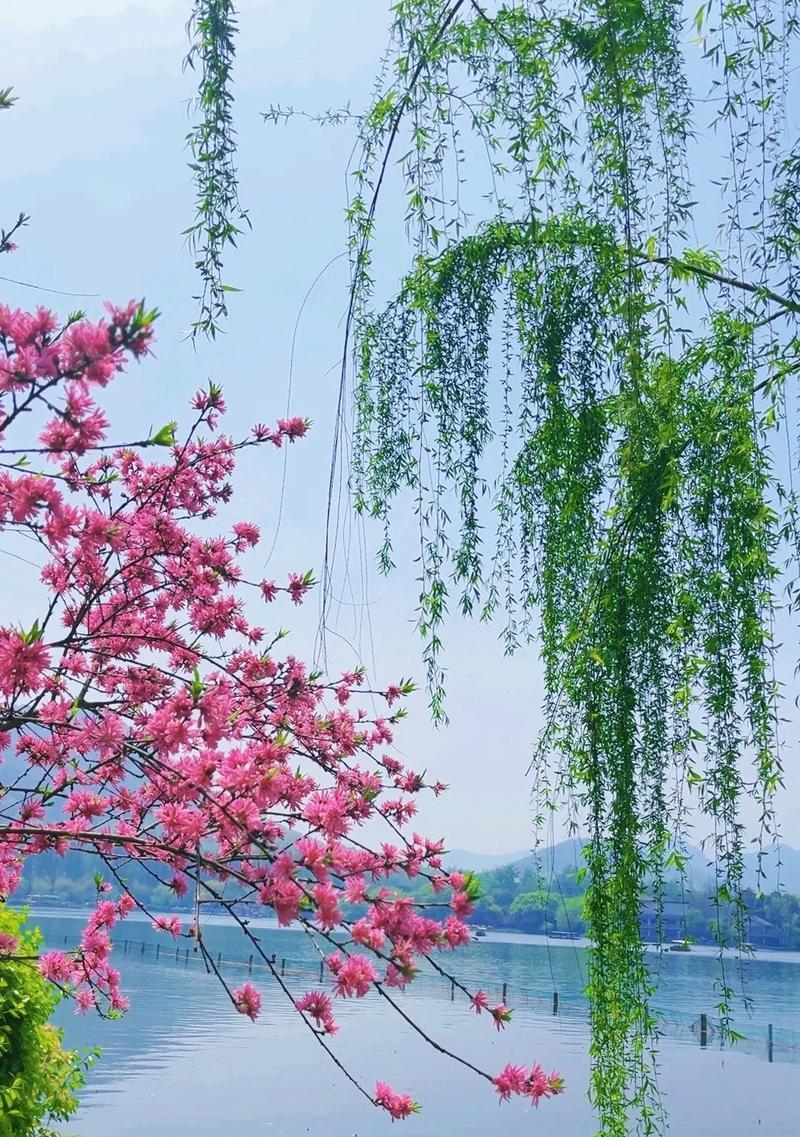 守望自己的风景（怎样守望才能看到不一样的美丽）