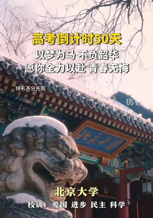 坚持到底,实现自己的梦想(一个少年的传奇)