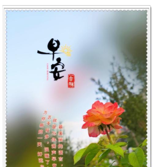 感恩的力量（一位无家可归的流浪者的感恩之路）