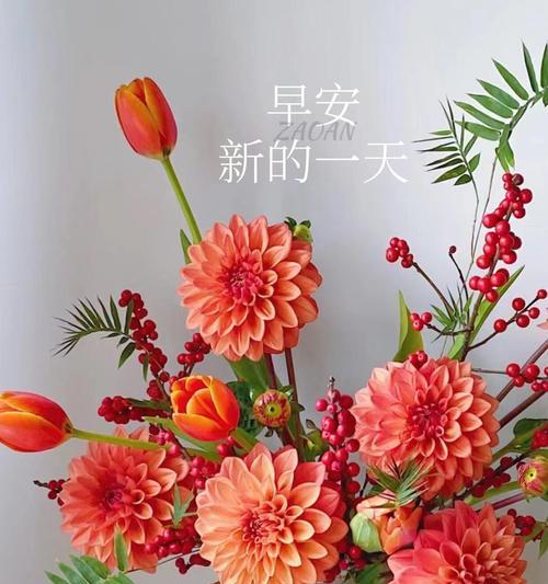找回幸福的旅程（找回幸福的旅程）